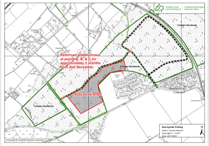 Felling of the Sunnyside Woods